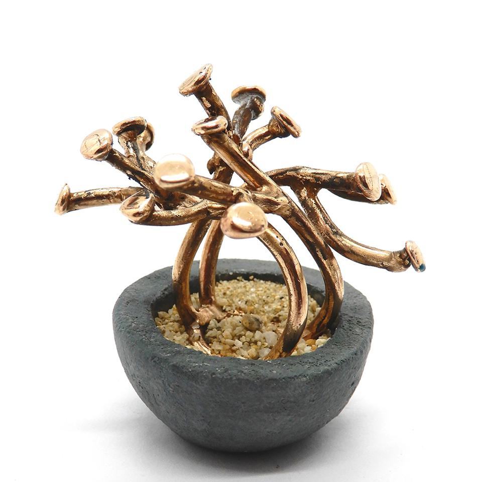 16mq-eleonora_ghilardo_bonsai-ring-2